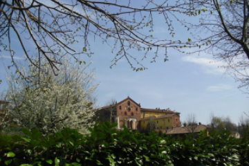 Sfoglia la galleria